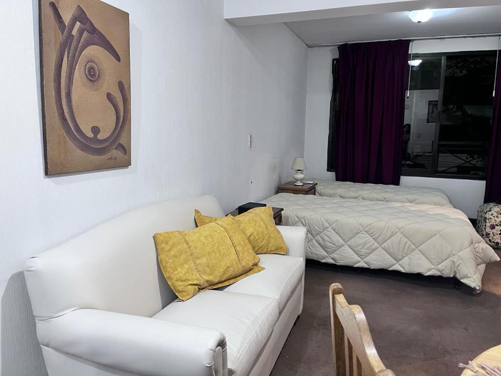 Departamento Horcones Los Penitentes Mendoza